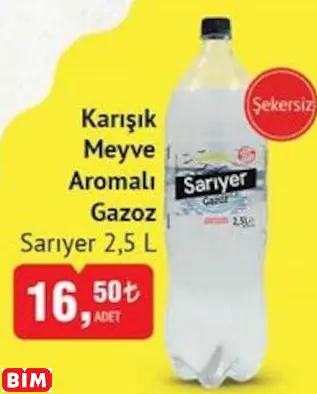 SARIYER KARIŞIK MEYVE AROMALI GAZOZ